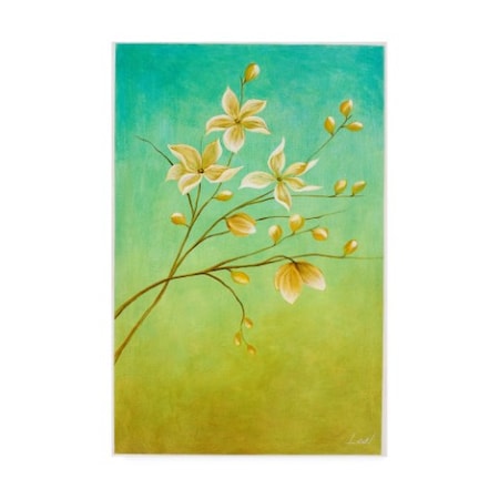 Pablo Esteban 'White Flower Branch 2' Canvas Art,22x32